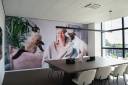 project-flamingo-opt4
